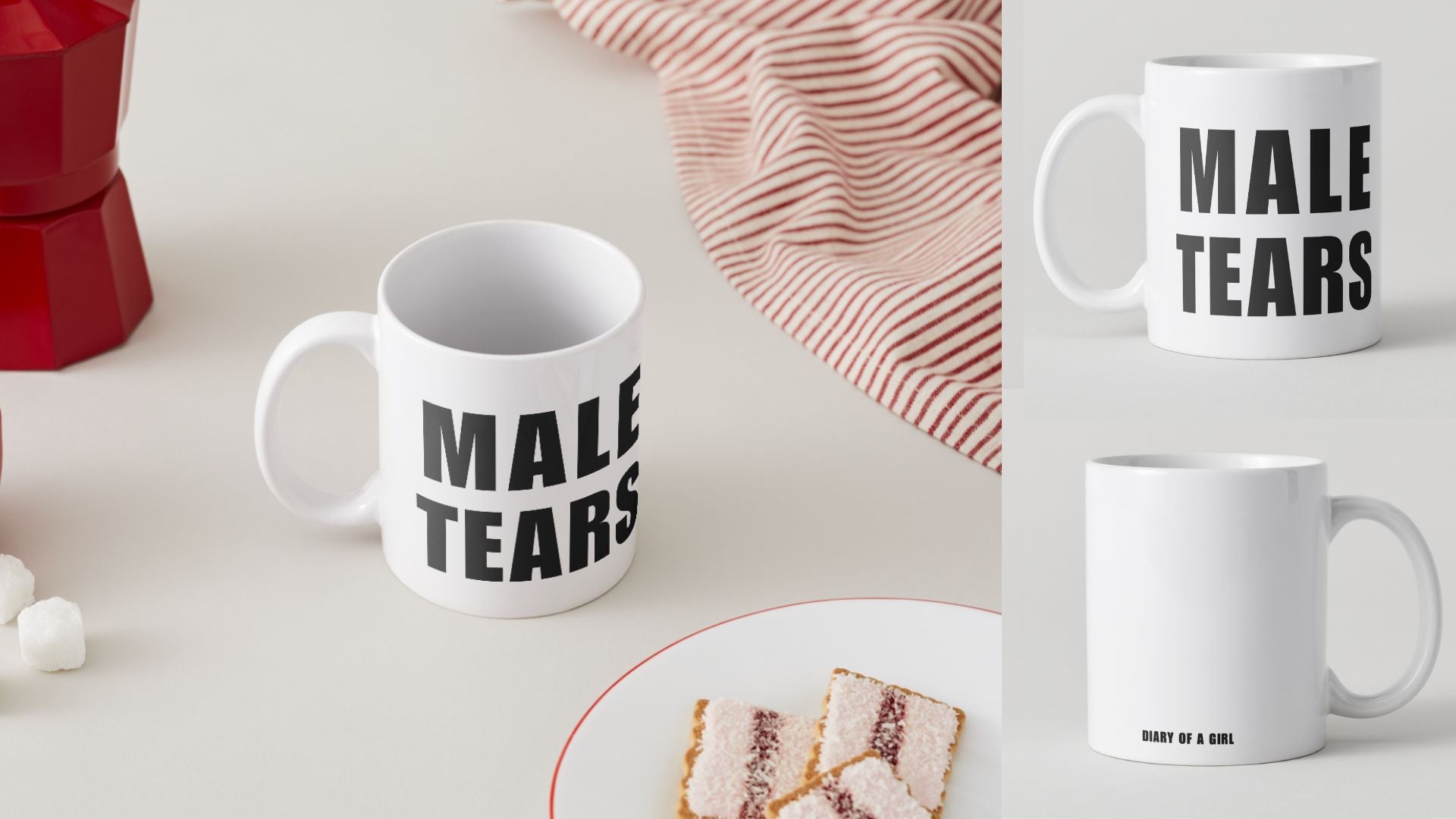 Diary Of A Girl: Male Tears Mug